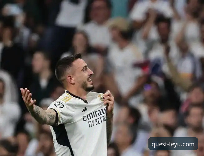 阿根廷大胜的酣畅淋漓 vs 乐鱼体育观赛的丝滑体验：资深用户如何选择？